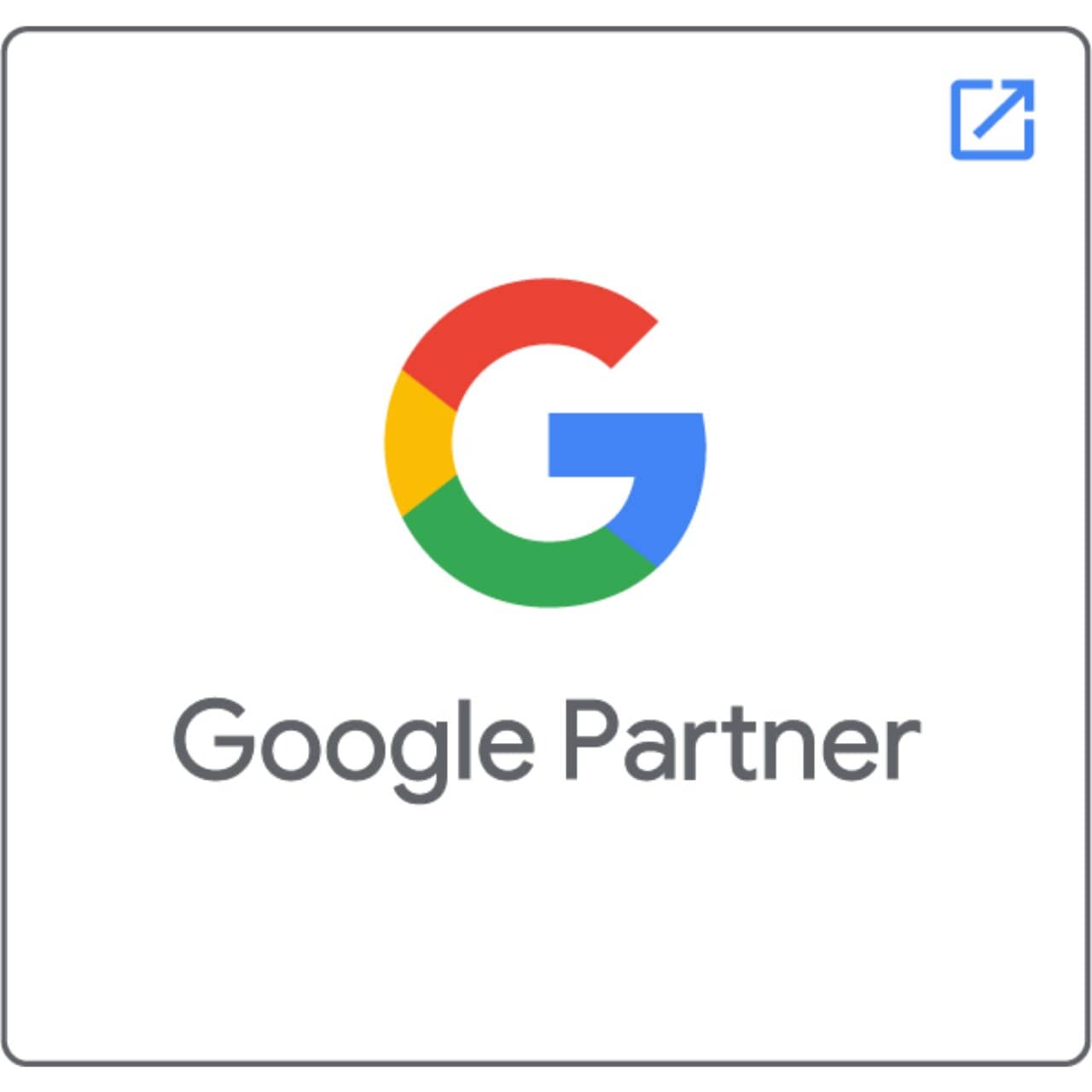 Google Partner logo