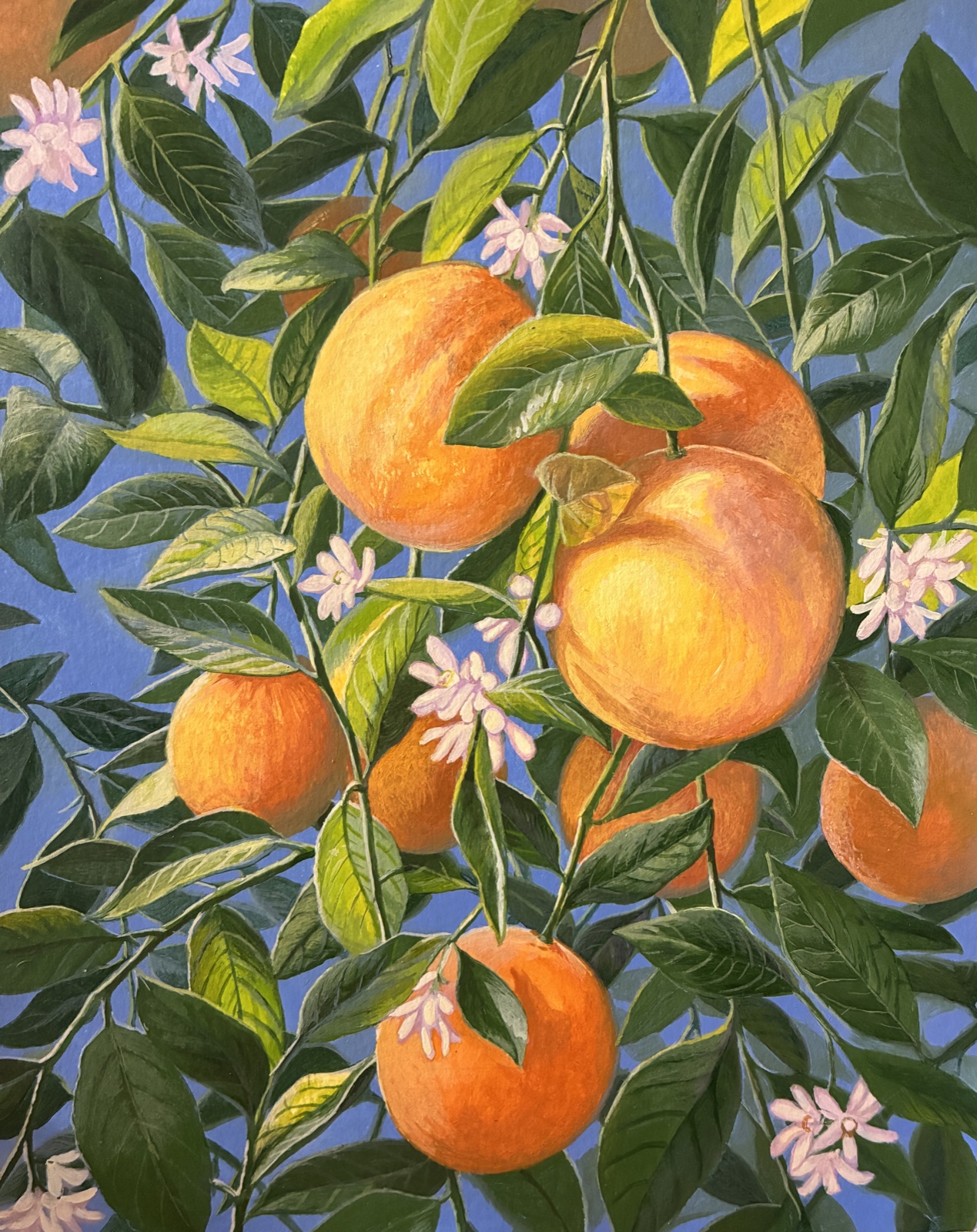 Meyer lemons among green leaves and blossoms