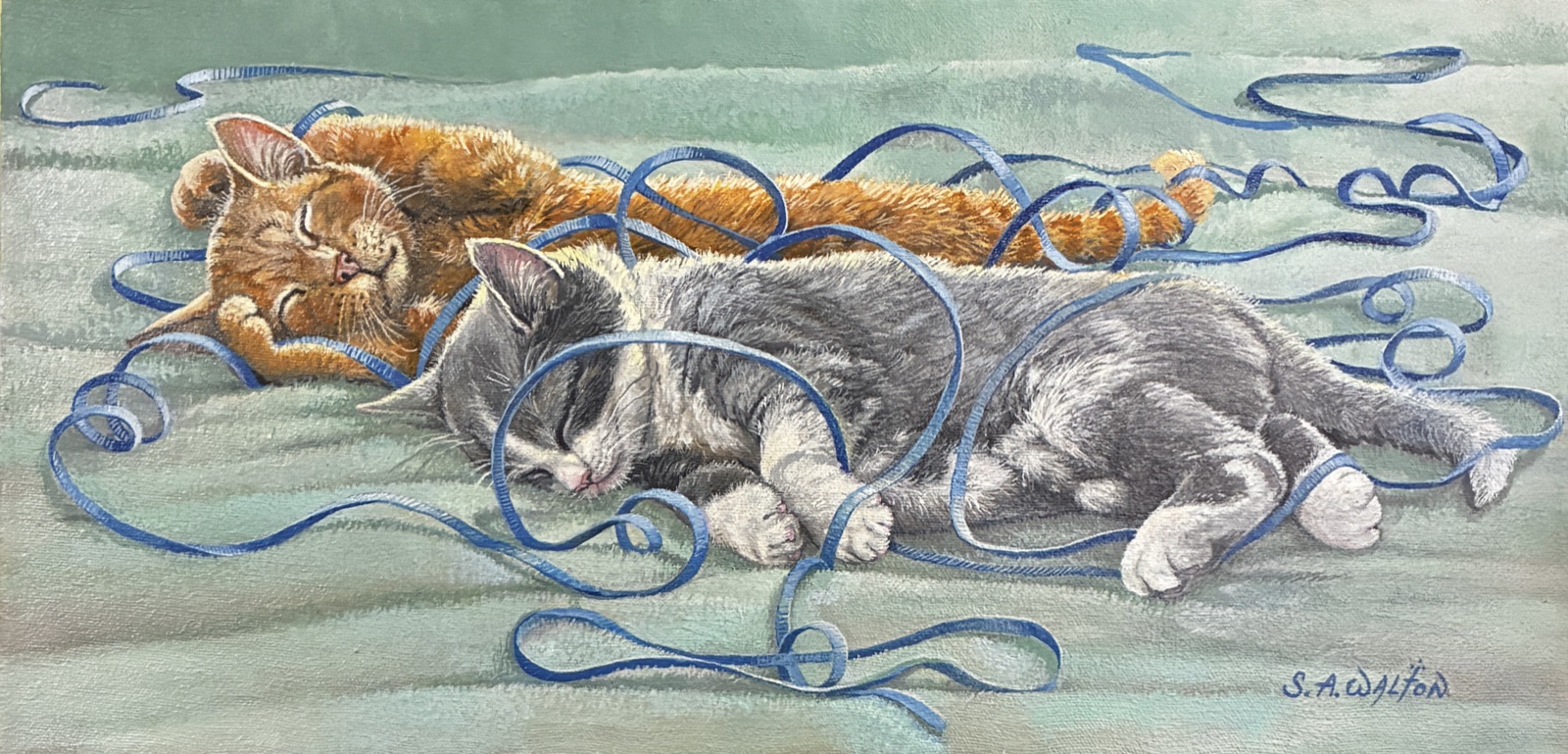 Two sleeping cats tangled in blue ribbon