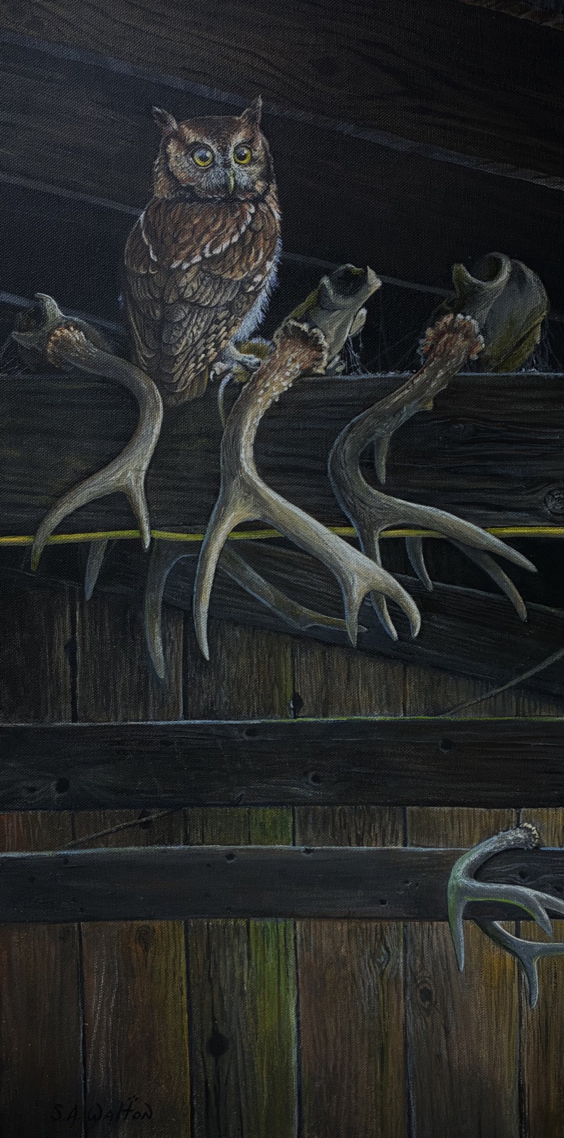 An owl perched among antlers in a dark barn