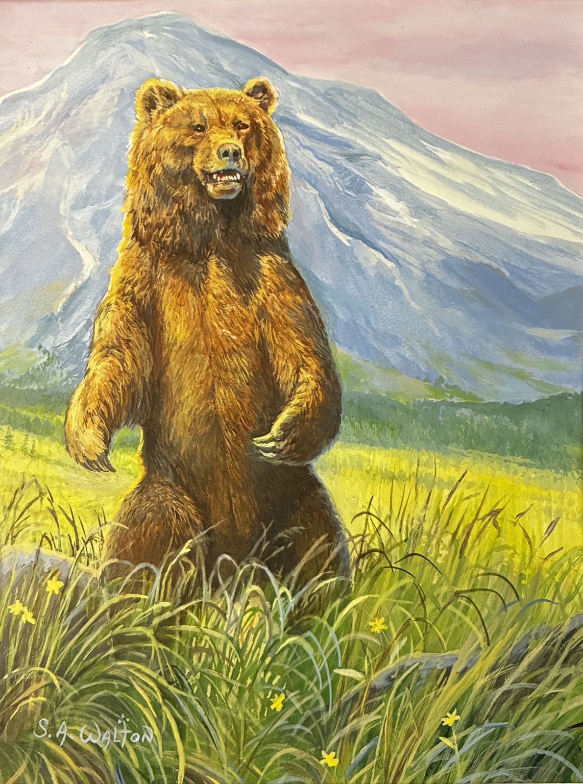 An Alaskan brown bear before a mountain